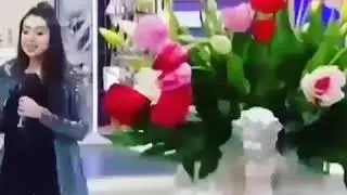 Анаира овоз меган