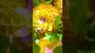3 августа 2024 г.