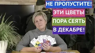 ЭТИ ЦВЕТЫ ПОРА СЕЯТЬ В ДЕКАБРЕ! ОТКРЫВАЕМ ПОСАДОЧНЫЙ СЕЗОН!