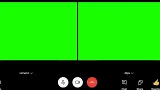 Zoom Video Conferencing Green Screen Footage [ Virtual Background ]