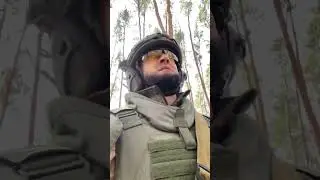 Обстановка в лесу