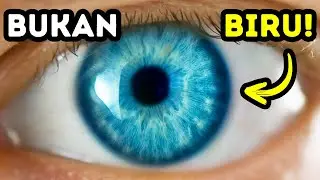Ternyata Mata Biru Hanya Ilusi