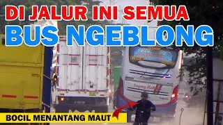 DI JALUR INI SEMUA BUS NGEBLONG, SUGENG RAHAYU NGEBLONG GILA, Mira, Gunung Harta, Harapan Jaya