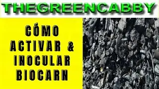 CÓMO ACTIVAR & INOCULAR BIOCARN - HOW TO ACTIVATE BIOCHAR