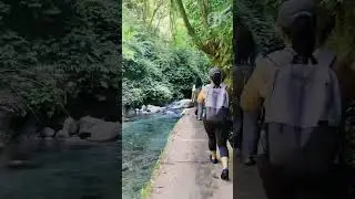 Ditumabo Mother Falls: The Hidden Gem of Aurora
