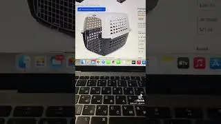 Как продавать на Амазон Wholesale