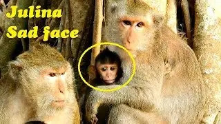 Julina sad!! Jade always push her from milk everyday | Pity little baby Julina