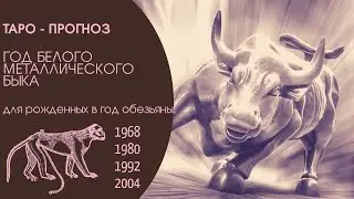 Таро-прогноз. 2021 год по восточному гороскопу для рожденных в год ОБЕЗЬЯНЫ