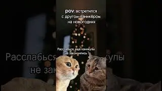 Обещаем не нервничать в новом году! (по возможности)#новыйгод #2024 #экзамены #ЕГЭ #школа #каникулы