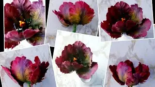 Попугайный тюльпан для торта из мастики 🌷