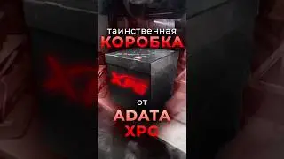 Что нам прислали Adata XPG? Распаковка! #моддинг_xpg #моддинг2024 #экстрим_моддинг_xpg