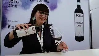 VIA & Vinitaly Preview Rust, Austria 2024 - VIDEO RECAP