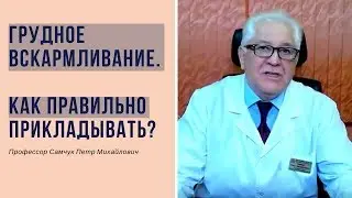 Грудное вскармливание 02. КАК прикладывать правильно?