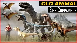 Oldest Animal Size Comparison | Biggest Oldest Animal