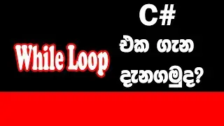 While Loop In C#