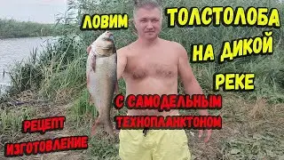 Рыбалка на толстолоба на дикой реке с самодельным технопланктоном