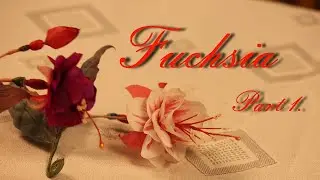 Fuchsia part 1