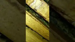К зимовке готовы