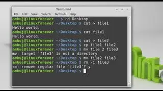 Manipulating File using Command Line in Linux Mint (Ubuntu)