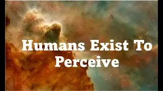 Humans Exist To Perceive
