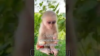 Знаки Зодиака в отпуске