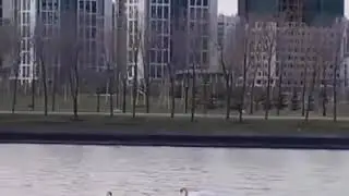 КАК ПРАВИЛЬНО ПОДКАТЫВАТЬ😉