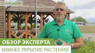 Зимнее укрытие растений