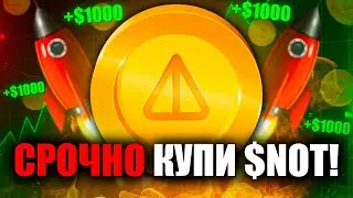 ❗️Buy Notcoin Now! Here's What You Need to Know!