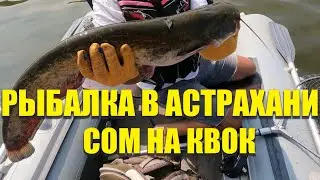 Рыбалка в Астрахани ловля сома на квок