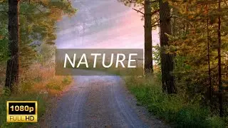 Beautiful Nature | DRONE | Free HD Videos - No Copyright footage