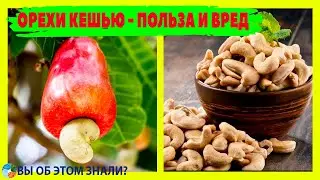 Орехи кешью - польза и кому нельзя