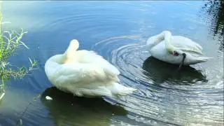 Евгений Мартынов 