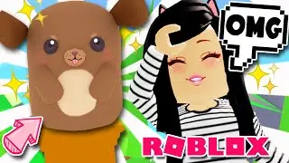 NEW *FUNNIEST PET SHOW* Most adorable pets in PET SHOW ROBLOX