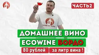 Готовим красное вино Эковайн Бордо. Часть 2 | Дегустация порошкового вина Ecowine