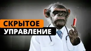 Убивай врага еще до зачатия! Принципы скрытого управления обществом