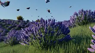 LUmion 8 pro: Lavender fields with animated butterflies