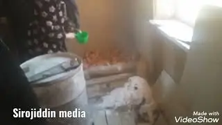 Чироқчида номалум мавжудотлар уйларда ёнғин содир этаётганликларини айтишмоқда.