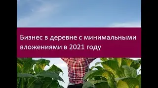 Бизнес в деревне с минимальными вложениями в 2021 году