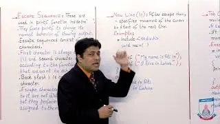 Class 10 - Computer Studies - Chapter 2 - Lecture 3 - Statement Terminator & Escape - Allied Schools