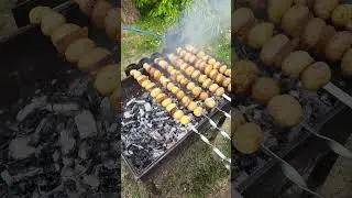 Электровертел для шампуров