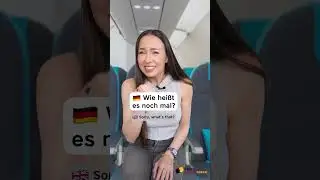 🤢DIESES WORT brauchst du IM FLUGZEUG (Alltagsdeutsch | Deutsch lernen | Learn German) #shorts
