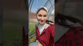 3 причины,  почему не стоит спешить удалять все пасынки разом