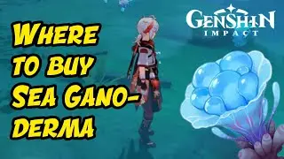 Where To Buy Sea Ganoderma (Kazuha Material) - Easy Way get Sea Ganoderma - Genshin Impact Guide