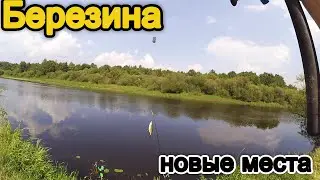 Рыбалка на Березине , новое место  - Рыбалка в Беларуси 2021