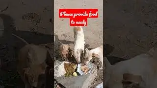कभी इनको भी खाना खिला दिया करो। मन को खुशी मिलेगी