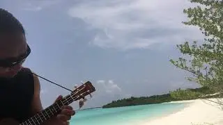 We’ll meet again ukulele cover