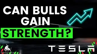 Tesla Stock Price Analysis | Top Levels To Watch for Thursday, July 18th 2024