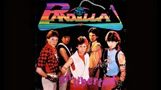 La Pandilla - Una historia importante ( 1987 )