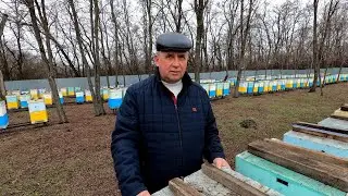 Пасека семьи Дубовик весна 2021.