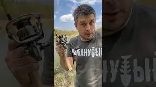 Уникальный обзор